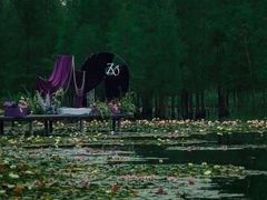 -白鹭湾湿地公园