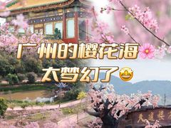 -宝墨园景区