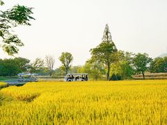 -良渚古城遗址公园