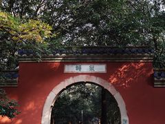 -灵谷景区