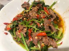 香菜炒牛肉-壹盏灯(惠农店)