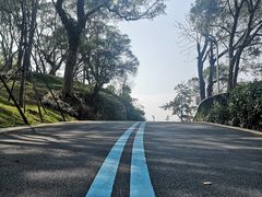 -飞凤山奥体公园