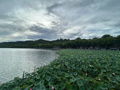 -杭州花家山庄