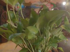 -凯撒城堡西餐厅(颐和国际店)