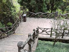 -刘伯温故里景区百丈漈
