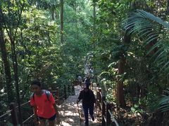 -武吉知马自然保护区