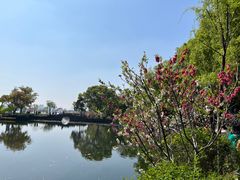 -无锡蠡湖国家湿地公园-蠡园