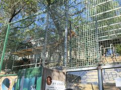 -北京鹿世界主题园