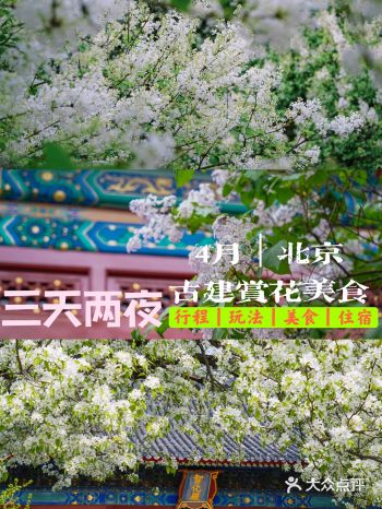 北京深度游｜3天2夜攻略｜古寺+赏花+美食