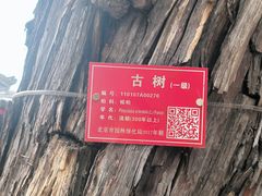 -承恩寺