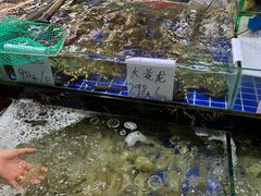 -三亚新鸿港水果一级批发市场