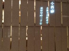 -二酉书店TOYOU BOOKS