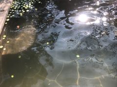 -郑州银基黄帝宫御温泉