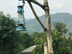 -大树秋千