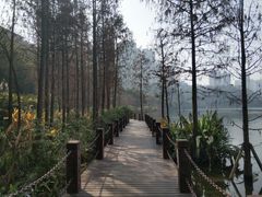 -重庆彩云湖湿地公园