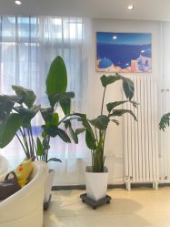 -黎蓓露·徒手骨雕蛋白抗衰·调肤管理