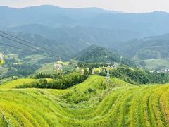 -龙脊梯田