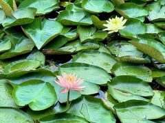 -白鹭湾湿地公园