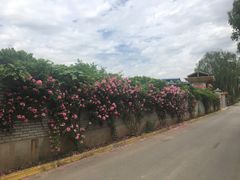 -长安上水缘度假庄园