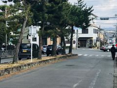 -豆政(金閣寺境内売店)