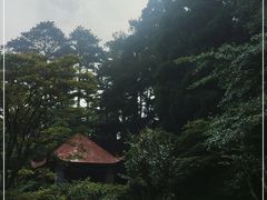 -庐山风景区花径公园