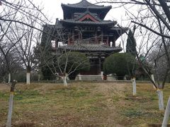 -西安青龙寺遗址景区