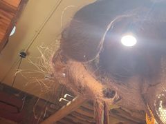 -泥糊破店小酒馆·团建聚餐(南京西路店)