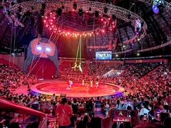 -俄罗斯国家大马戏团