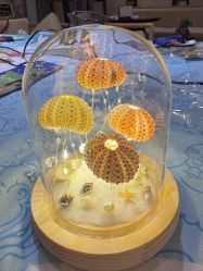 -贝瑞佳月子会所(杭州旗舰店)