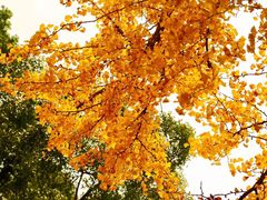 -金堂县云顶石城风景区