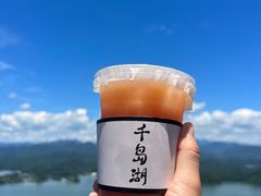 -千岛湖天屿景区