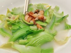 -顺德了能馆(虎门店)