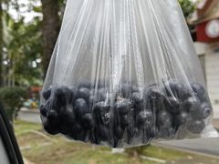 -西双版纳集贸市场