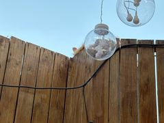 -后海16号·北京私房菜