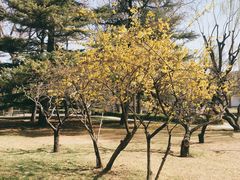 -团结湖公园