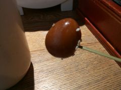 -蜜桃餐厅·伴山(湖滨商业街店)