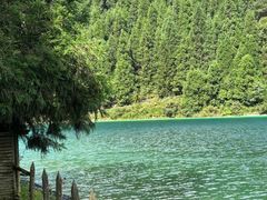 -武陵山森林公园