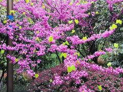 -杭州半山国家森林公园