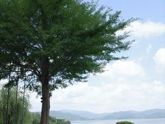 -宁波柏悦酒店·钱湖渔港