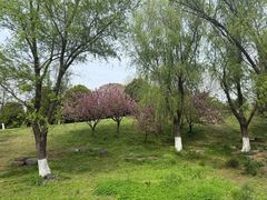 -钟山体育运动公园