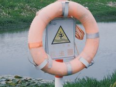 -洋湖国家湿地公园