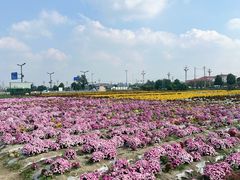 -中国天府农业博览园