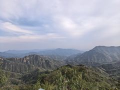 -大岭沟猕猴桃谷风景区