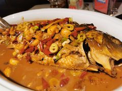 煎烧黄河鲤鱼-阿五黄河大鲤鱼(纬三路店)