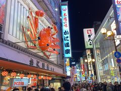 -蟹道乐(道顿堀本店)