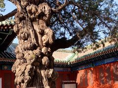 -北京国子监胡同