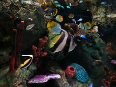 -沈阳海洋探索中心