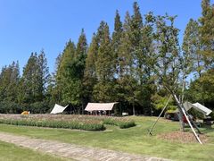 -上海滨江森林公园
