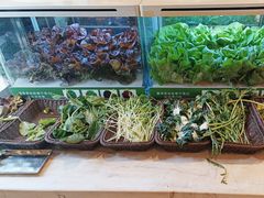 -冀粤香海鲜自助餐厅(西美五洲店)