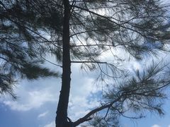 -环滩岛